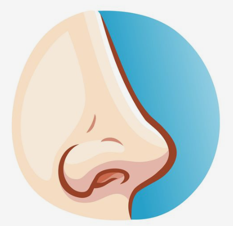 رینوپلاستی مدرن و جراحی زیبایی بینی کلاسیک